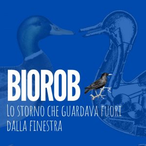 storno fuori dalla finestra