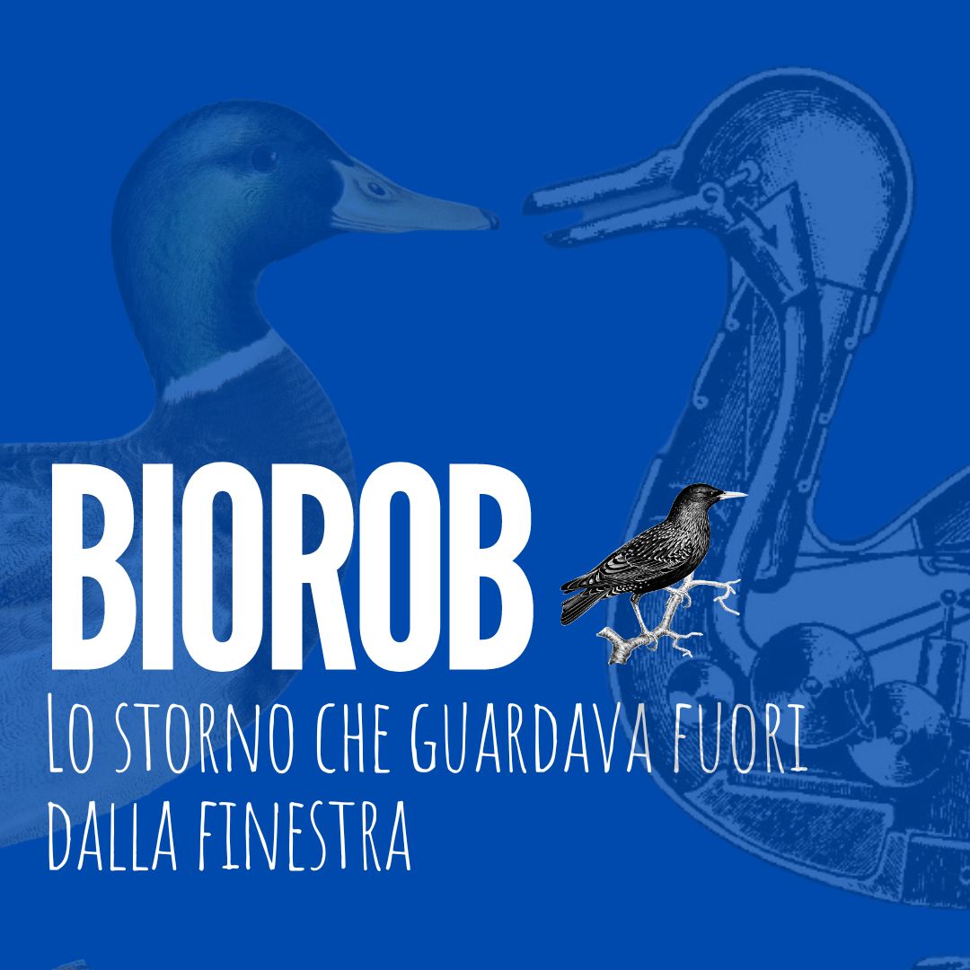 storno fuori dalla finestra