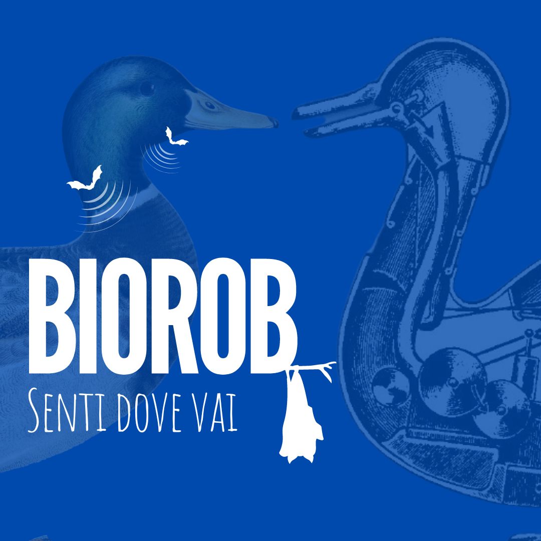 senti dove vai