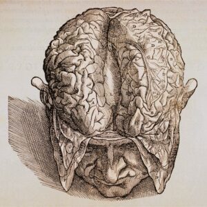 Philosophy of Science