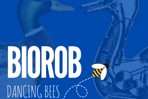 biorob-dancing-bees