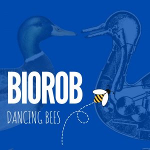 dancing bees