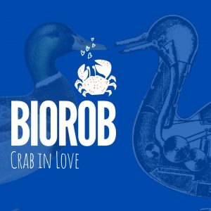 crab in love